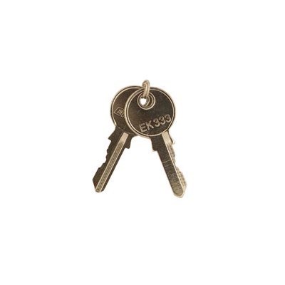 set of 2 spare keys for key latched