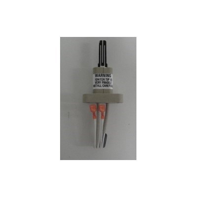 HOT SURFACE IGNITOR (9006101205)
