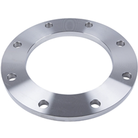 PLATE FLANGE 8 150# SS